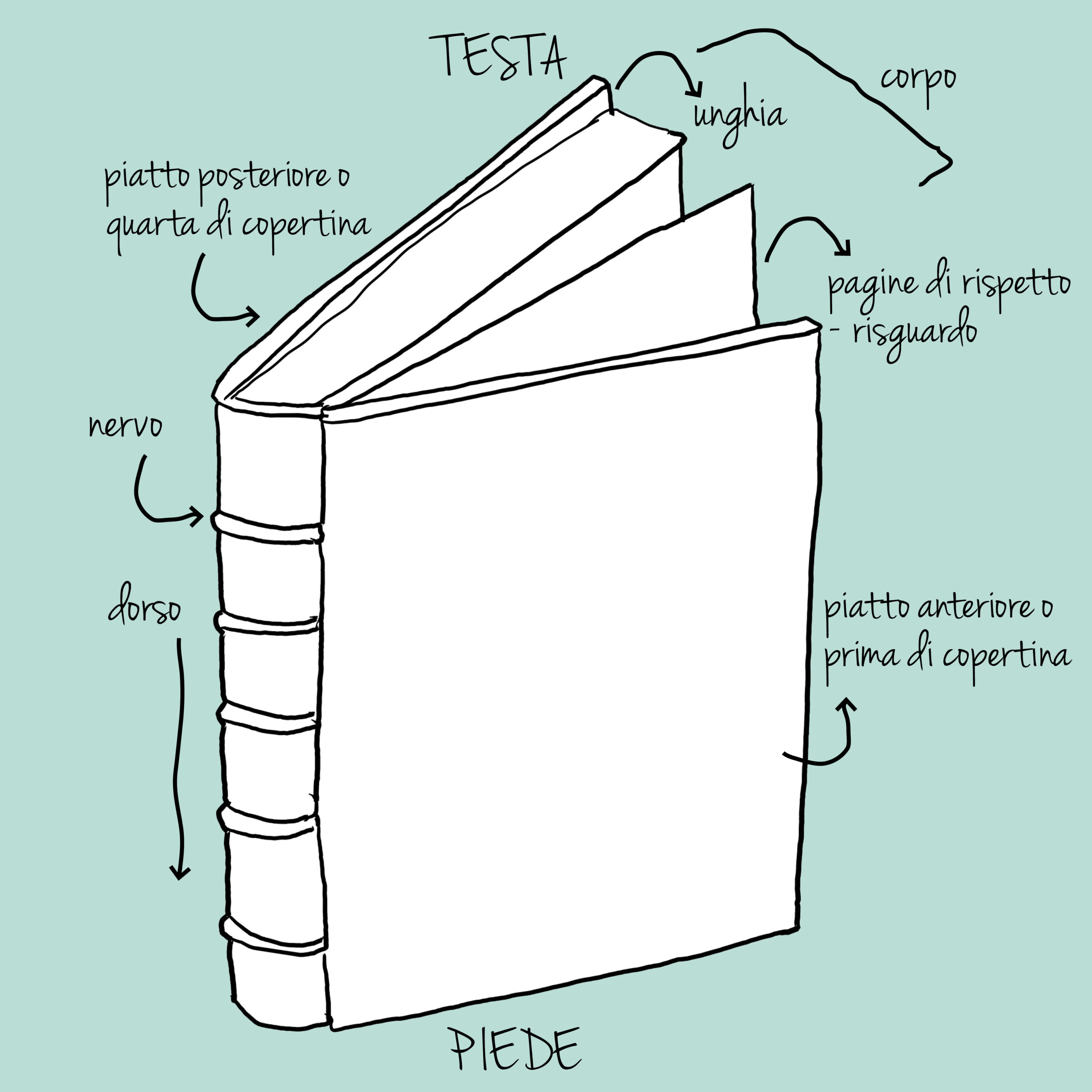 Anatomia di un libro - Franco Cesati Editore